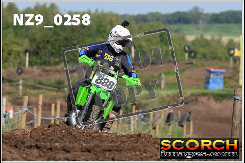 Inters Green-223