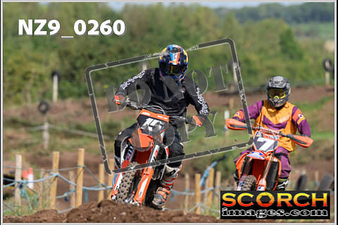 Inters Green-225