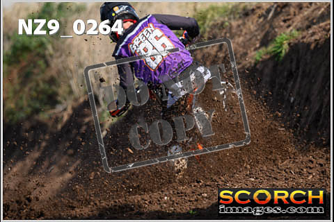 Inters Green-229