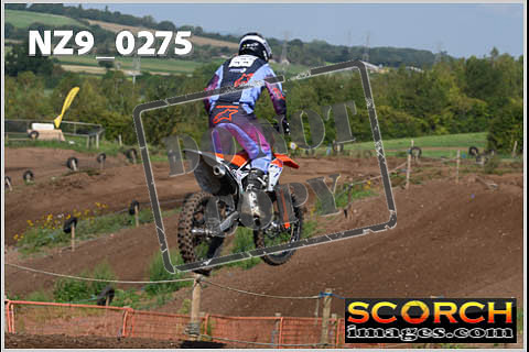Inters Green-240
