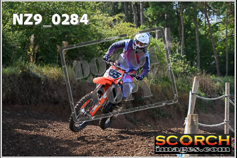 Inters Green-249