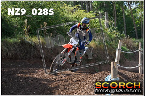 Inters Green-250