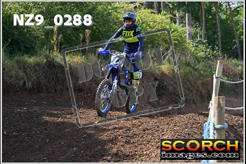 Inters Green-253