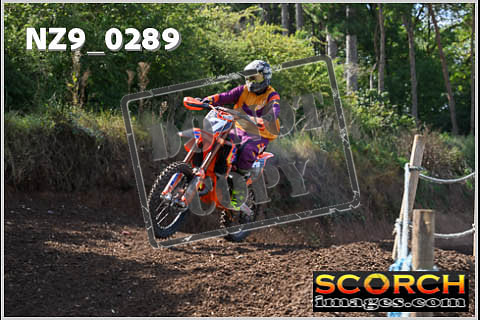 Inters Green-254