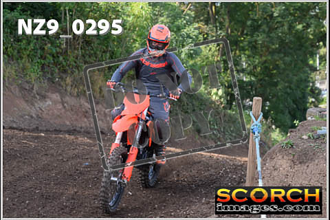 Inters Green-260