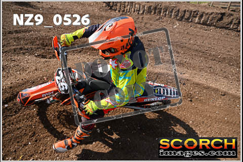 Inters Green-278