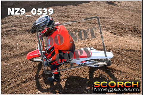 Inters Green-290