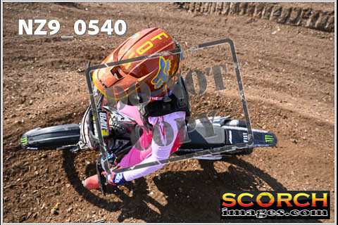 Inters Green-291