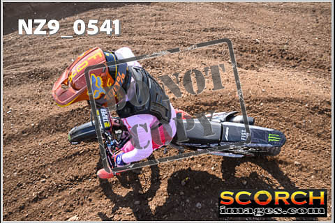 Inters Green-292