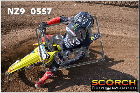Inters Green-307