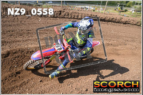 Inters Green-308