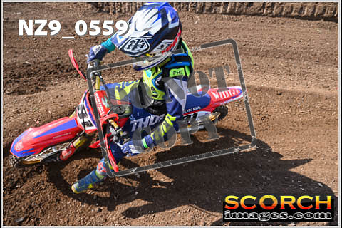 Inters Green-309