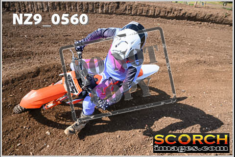 Inters Green-310