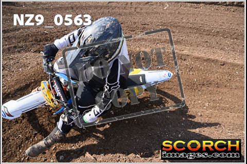 Inters Green-313