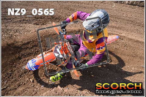 Inters Green-315