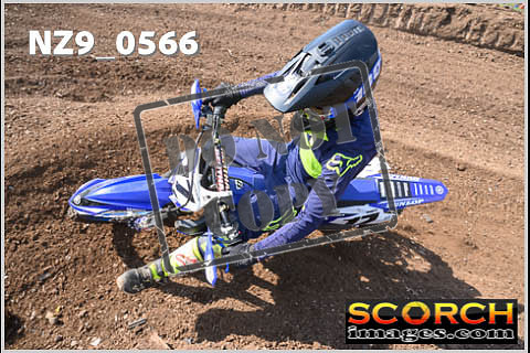 Inters Green-316