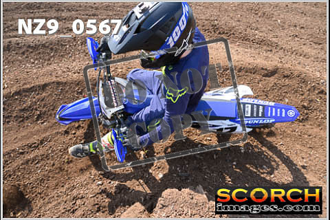 Inters Green-317