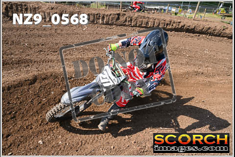 Inters Green-318