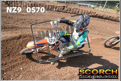 Inters Green-320