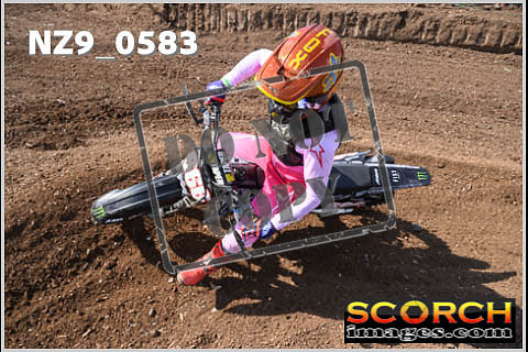 Inters Green-333