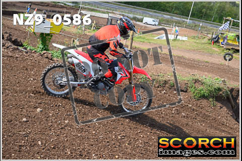 Inters Green-336