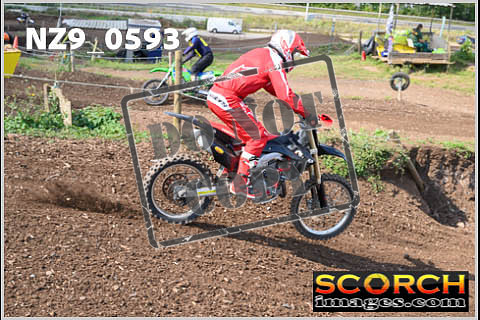 Inters Green-342