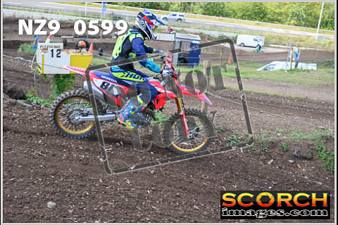 Inters Green-348