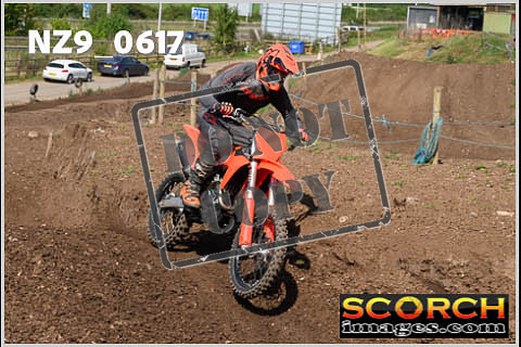 Inters Green-365