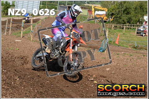 Inters Green-374