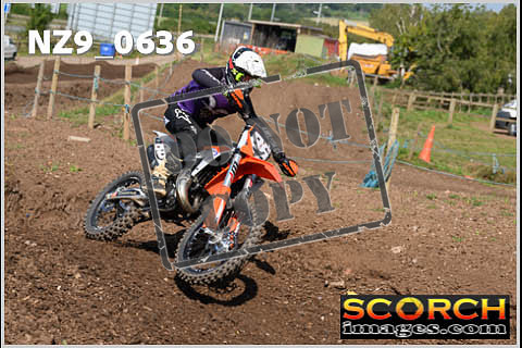 Inters Green-383