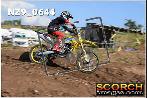Inters Green-391