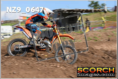 Inters Green-394