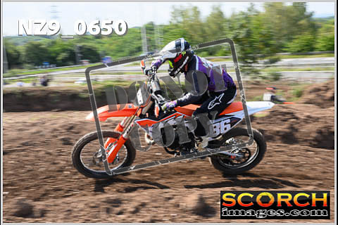 Inters Green-397