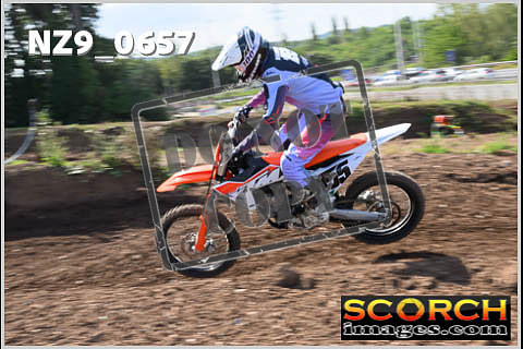 Inters Green-401