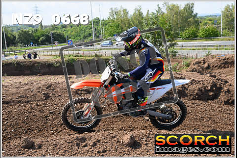 Inters Green-411