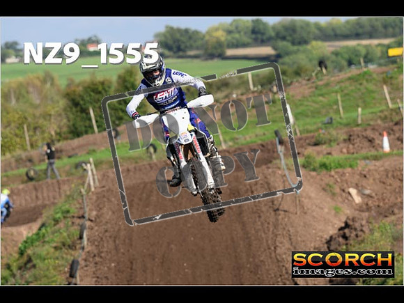 Experts-238
