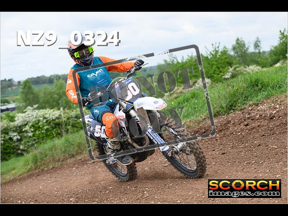 IntersGreen-269