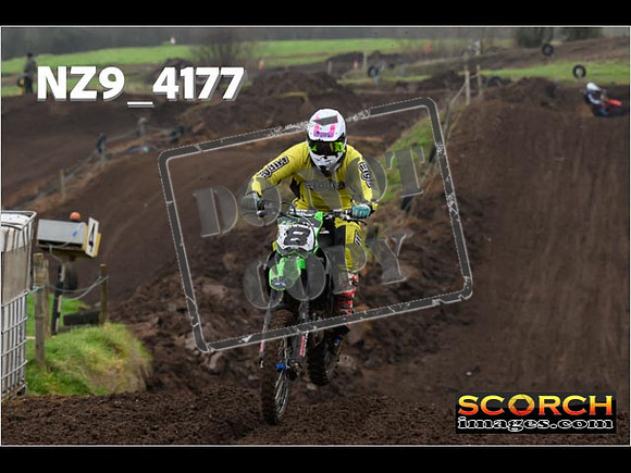 IntersGreen-075