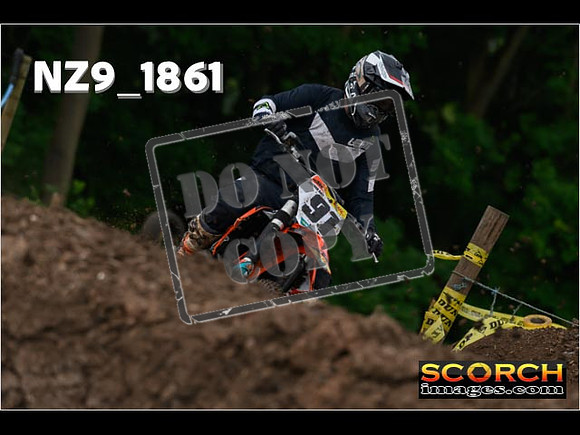 Experts-081
