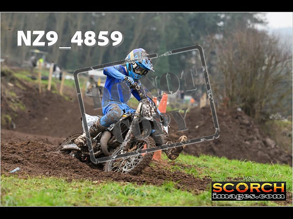 Experts-335