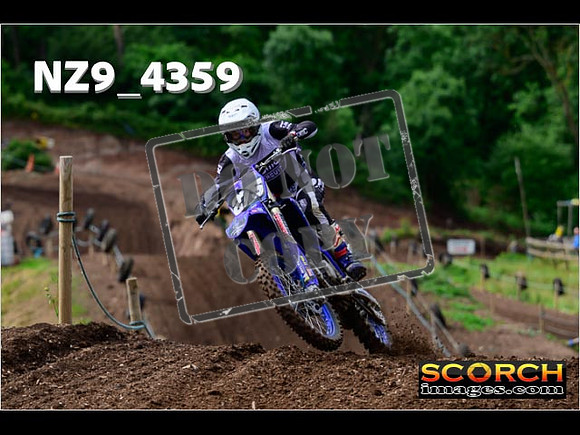 Experts-032