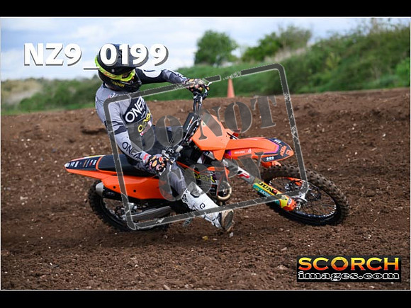 Experts-136