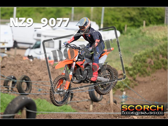 Experts-124
