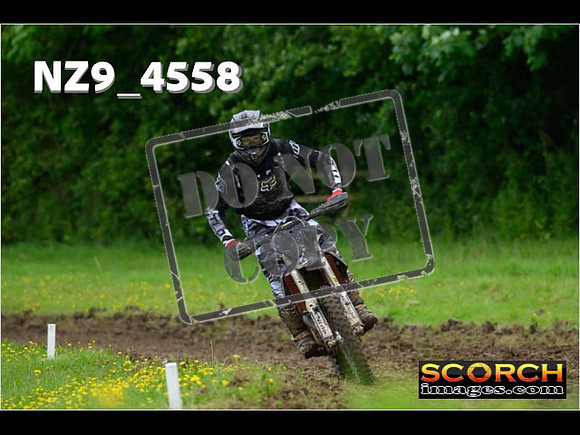 Experts-274