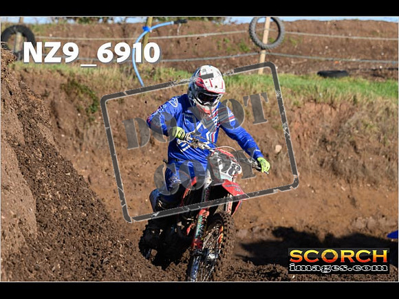 Experts-113
