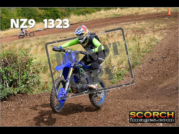 IntersBlue-185