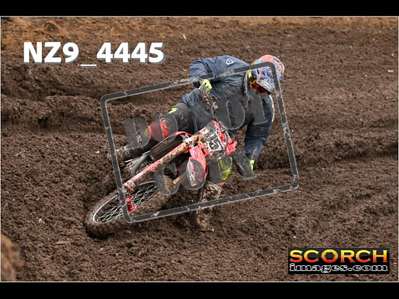 Experts-285