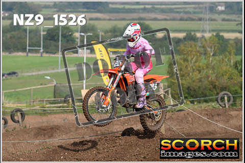 Apex-078