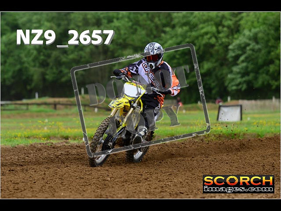 Novice-246