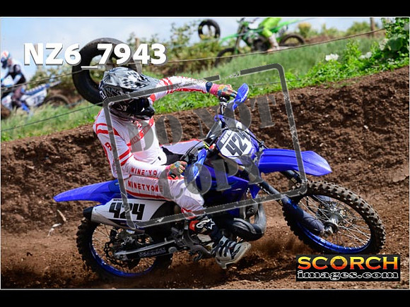 Experts-109